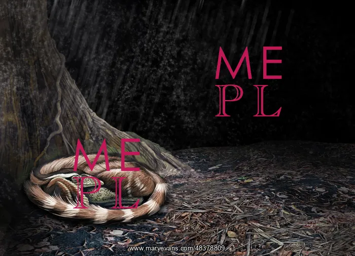 : A Mei long curls up beside the roots of a tree to shelter ? : A Mei long curls up beside the roots of a tree to shelter ?
