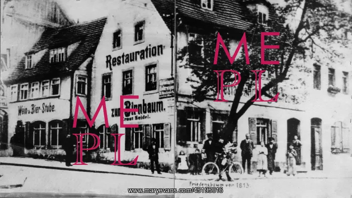 : Meissen - ruins : Meissen - ruins