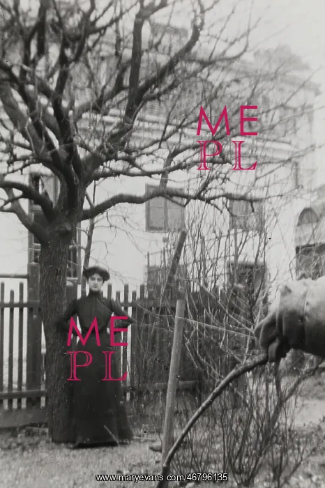 : Melanie Schiele : Melanie Schiele