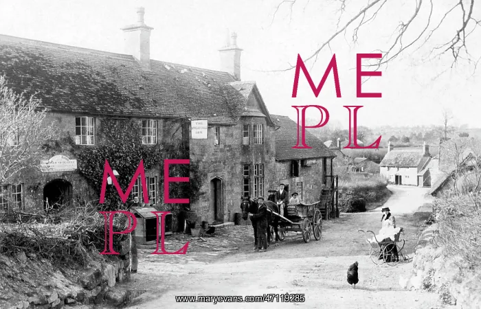  : Melbury Abbass Victorian period