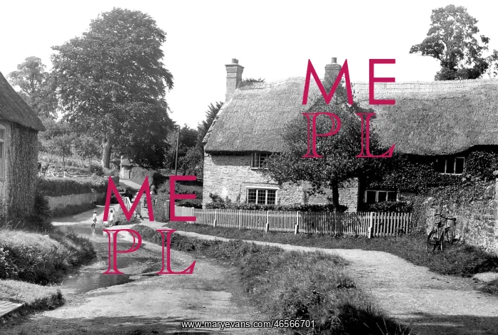  : Melbury Osmond, Bridge Farm c1955