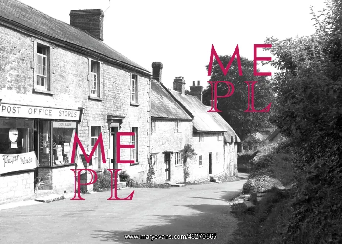  : Melbury Osmond, Post Office c1955