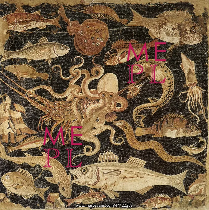  : Mellenistic Fish Mosaic