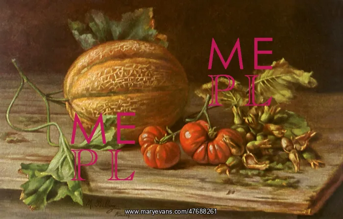 : Melon Still Life : Melon Still Life