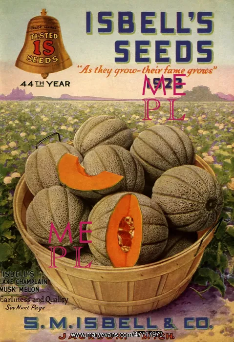  : Melons on Catalogue