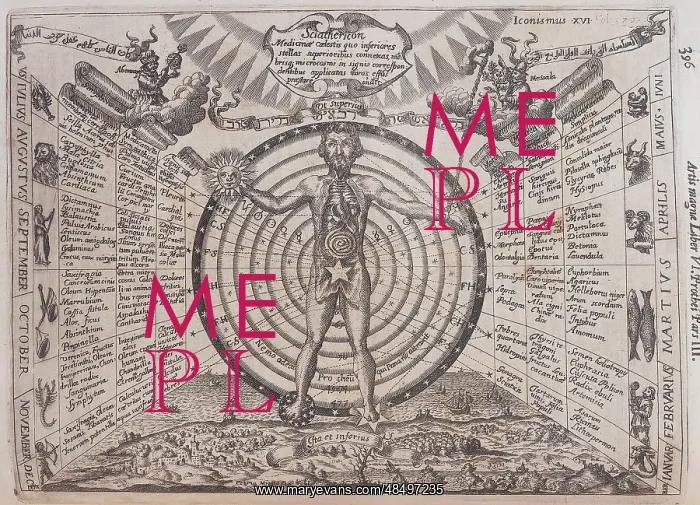 : Melothesia from showing the influence of the human : Melothesia from showing the influence of the human