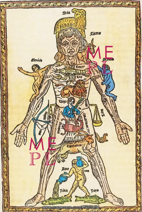  : Melothesic Figure