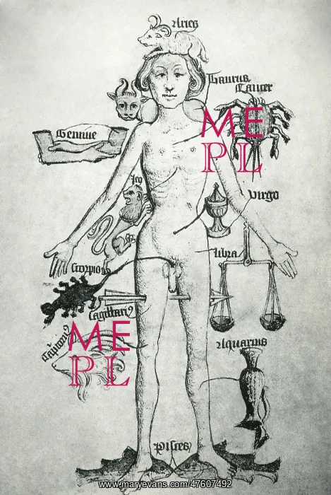 : Melothesic Figure : Melothesic Figure