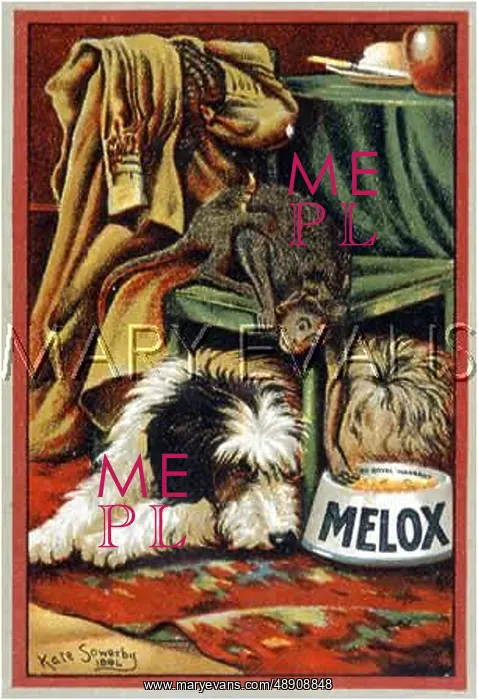 : MELOX DOG FOOD AD : MELOX DOG FOOD AD
