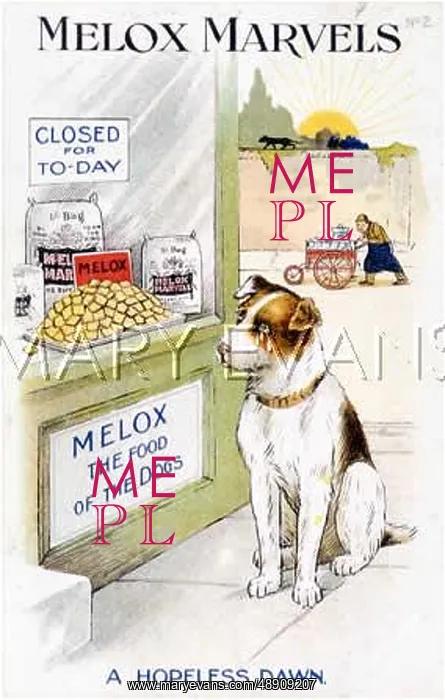 : MELOX MARVELS DOG FOOD : MELOX MARVELS DOG FOOD