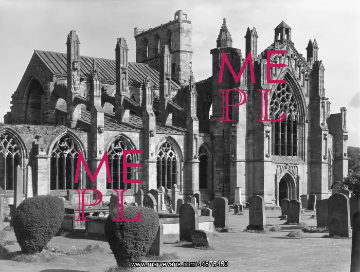 : MELROSE ABBEY : MELROSE ABBEY