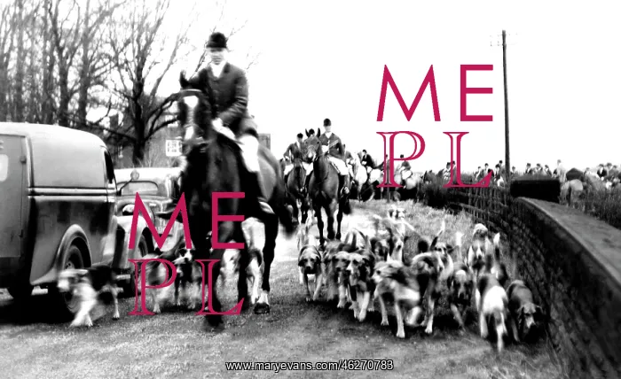  : Melton Mowbray, the Belvoir Hunt c1955