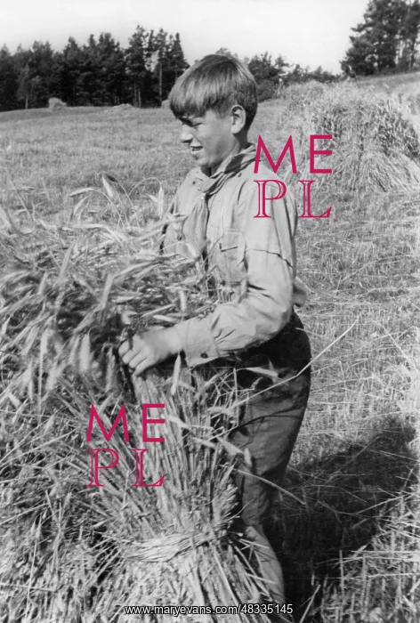 : Member of the Deutsche Freischar doing field work, 1932 : Member of the Deutsche Freischar doing field work, 1932