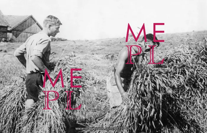 : Member of the Deutsche Freischar doing field work, 1932 : Member of the Deutsche Freischar doing field work, 1932