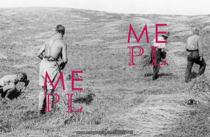  : Member of the Deutsche Freischar doing field work, 1932