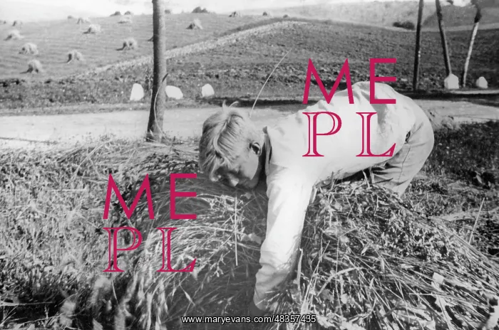 : Member of the Deutsche Freischar doing field work, 1932 : Member of the Deutsche Freischar doing field work, 1932