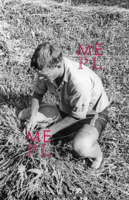 : Member of the Deutsche Freischar doing field work, 1932 : Member of the Deutsche Freischar doing field work, 1932