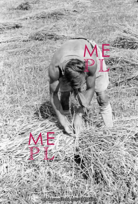 : Member of the Deutsche Freischar doing field work, 1932 : Member of the Deutsche Freischar doing field work, 1932