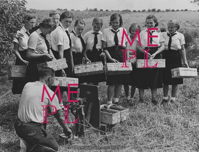 : Members of the BDM doing harvest relief work, 1939 : Members of the BDM doing harvest relief work, 1939