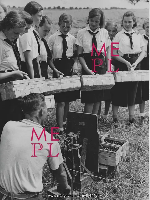 : Members of the BDM doing harvest relief work, 1939 : Members of the BDM doing harvest relief work, 1939