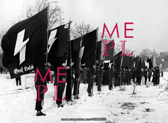 : Members of the Deutsches Jungvolk at roll call, 1937 : Members of the Deutsches Jungvolk at roll call, 1937