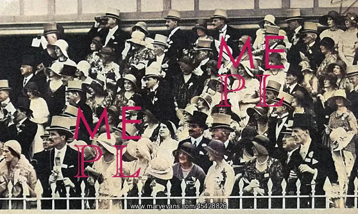 : Members of the enclosure at Ascot : Members of the enclosure at Ascot