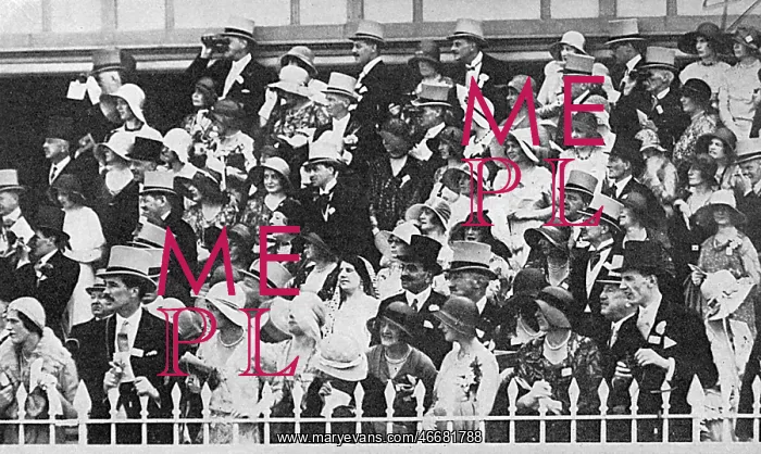 : Members of the enclosure at Ascot : Members of the enclosure at Ascot