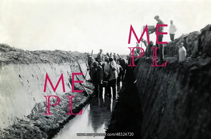 : Members of the Freiwilliger Arbeitsdienst excavate : Members of the Freiwilliger Arbeitsdienst excavate