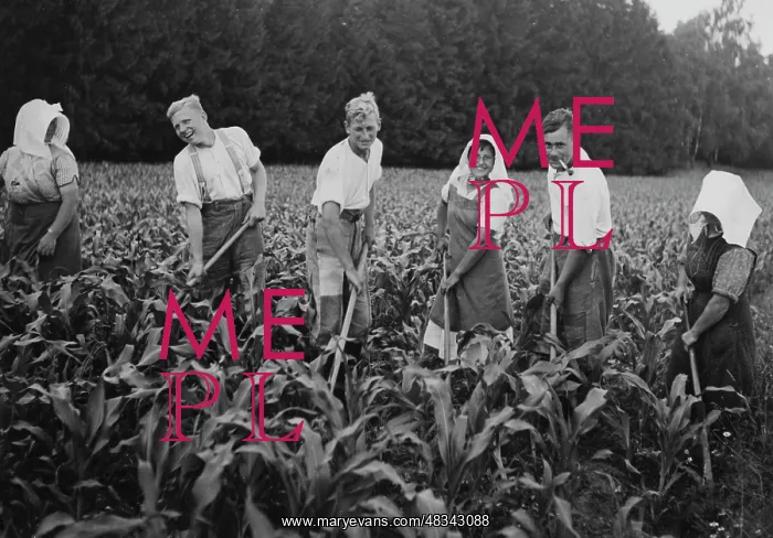 : Members of the RAD during field work, 1939 : Members of the RAD during field work, 1939
