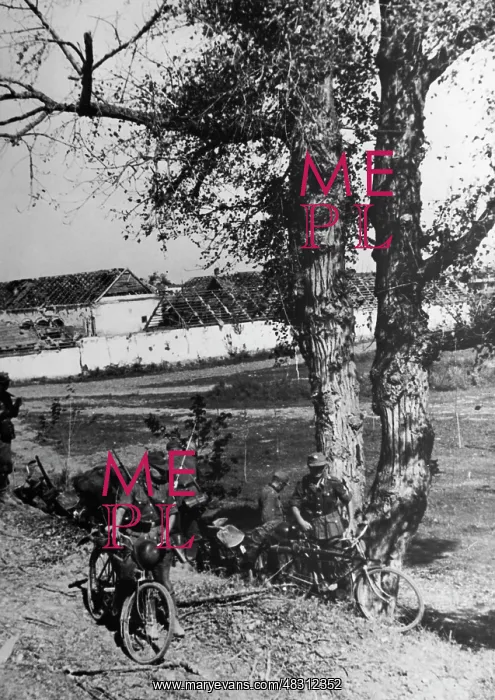 : Members of the RAD at the Terek, 1942 : Members of the RAD at the Terek, 1942