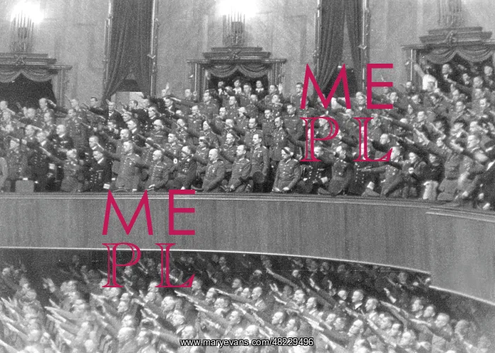 : Members of the Reichstag in the Berlin Kroll Opera House : Members of the Reichstag in the Berlin Kroll Opera House
