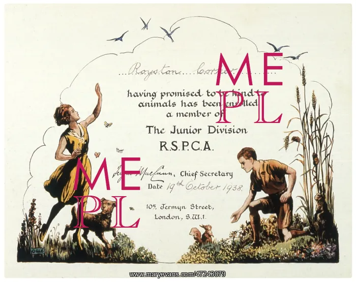 : Membership Certificate R.S.P.C.A : Membership Certificate R.S.P.C.A