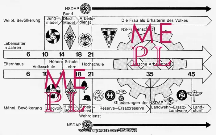 : Membership in the NSDAP subgroups by age : Membership in the NSDAP subgroups by age