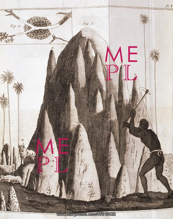 : Memoirs sur le Termes : Memoirs sur le Termes