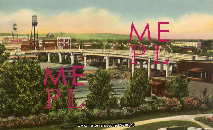  : Memorial Bridge. Wasau