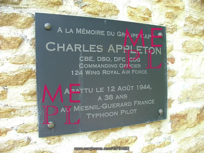 : Memorial Plaque to Group Captain C. H. Appleton : Memorial Plaque to Group Captain C. H. Appleton