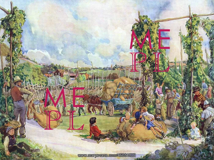 : A Memory of a Hop Field by F. C. Twort : A Memory of a Hop Field by F. C. Twort