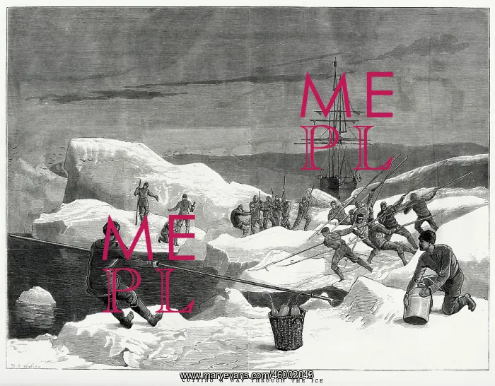 : Men of the British Arctic Expedition 1876 : Men of the British Arctic Expedition 1876