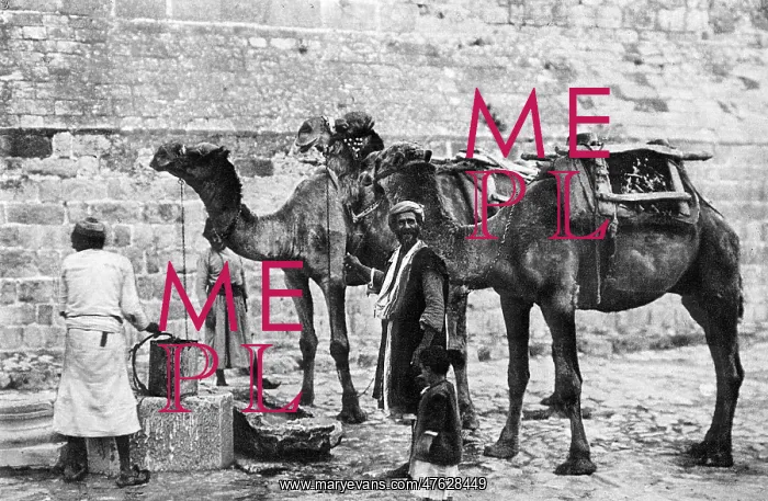 : Men with camels at a cistern, Bethlehem : Men with camels at a cistern, Bethlehem