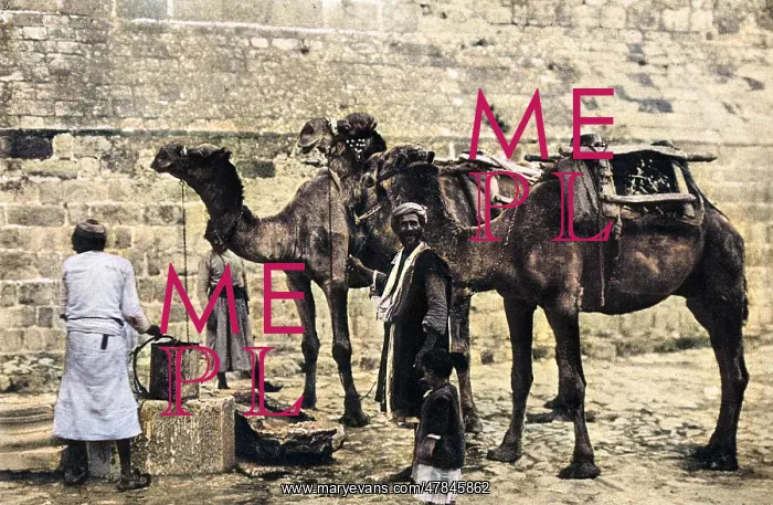 : Men with camels at a cistern, Bethlehem : Men with camels at a cistern, Bethlehem