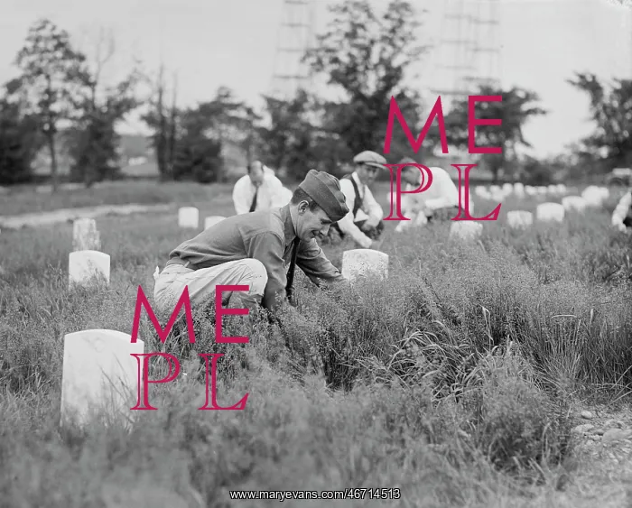 : Men - Cemetery - Neglect - Arlington : Men - Cemetery - Neglect - Arlington