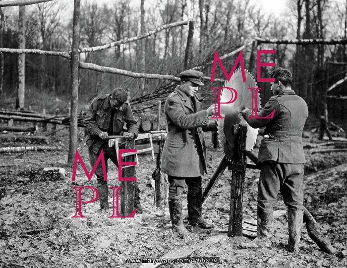 : Men with circular saw, Western Front, WW1 : Men with circular saw, Western Front, WW1