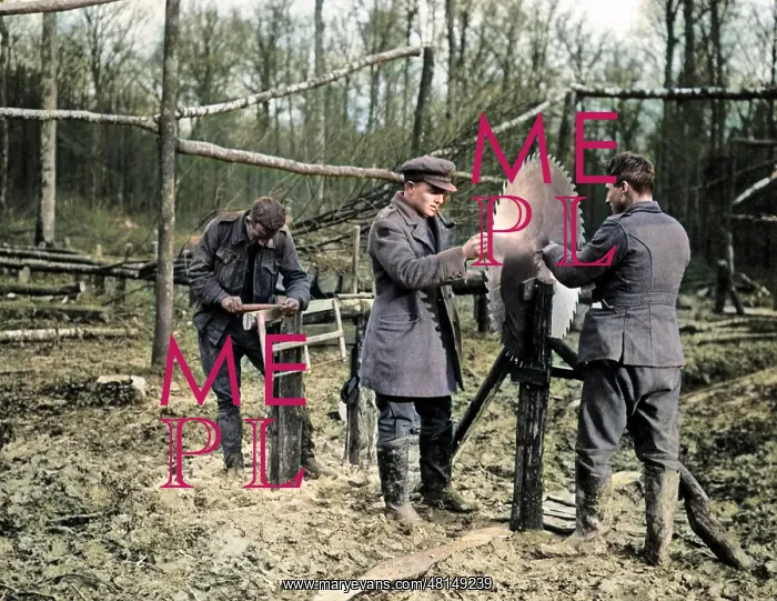 : Men with circular saw, Western Front, WW1 : Men with circular saw, Western Front, WW1