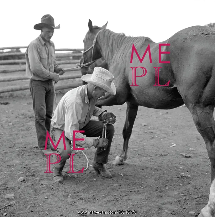 : Men - Cowboys - Ranch - Horse : Men - Cowboys - Ranch - Horse