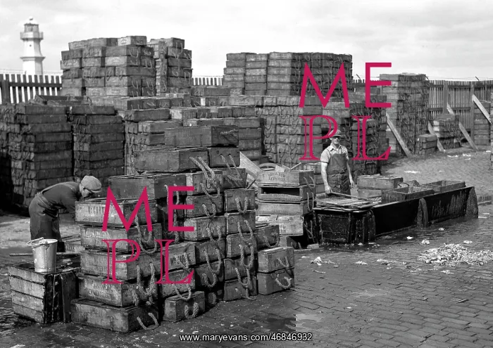 : Men with crates of fish on quayside : Men with crates of fish on quayside