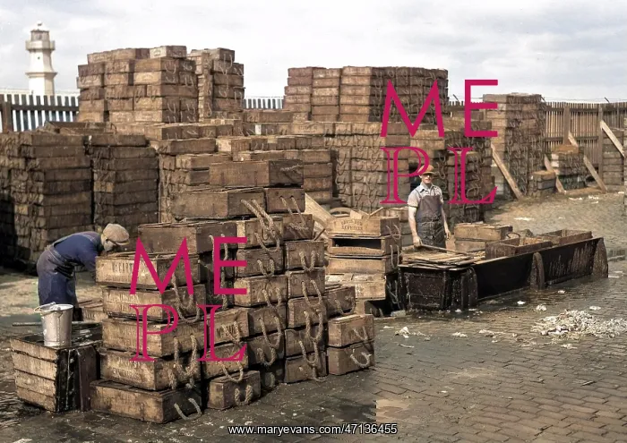 : Men with crates of fish on quayside : Men with crates of fish on quayside