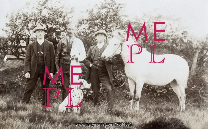 : Three men with dalmatian and pony : Three men with dalmatian and pony