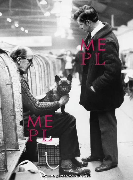 : Two men and a dog, Manchester Dog Show : Two men and a dog, Manchester Dog Show