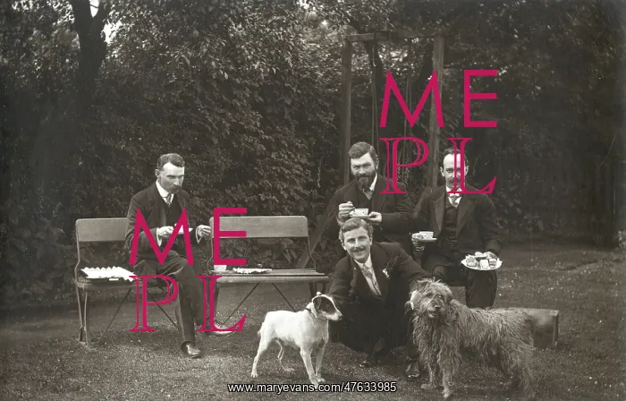 : Four men and two dogs in a garden : Four men and two dogs in a garden