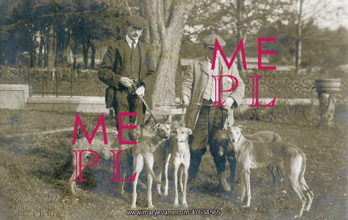  : Two men with five dogs in a garden